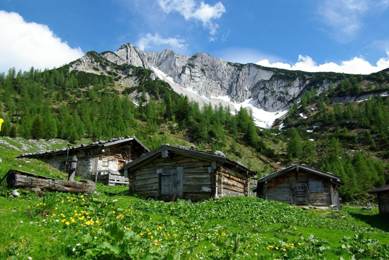 Haus Bauer Apartamento Pertisau Exterior foto
